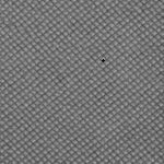 Image of 49968164569425