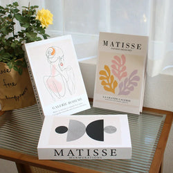 Image of Matisse Book Collection