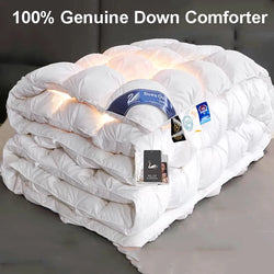 Image of Liora Duvet